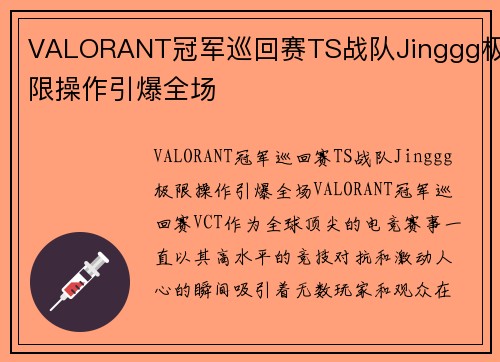VALORANT冠军巡回赛TS战队Jinggg极限操作引爆全场