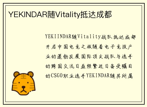 YEKINDAR随Vitality抵达成都