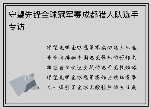 守望先锋全球冠军赛成都猎人队选手专访